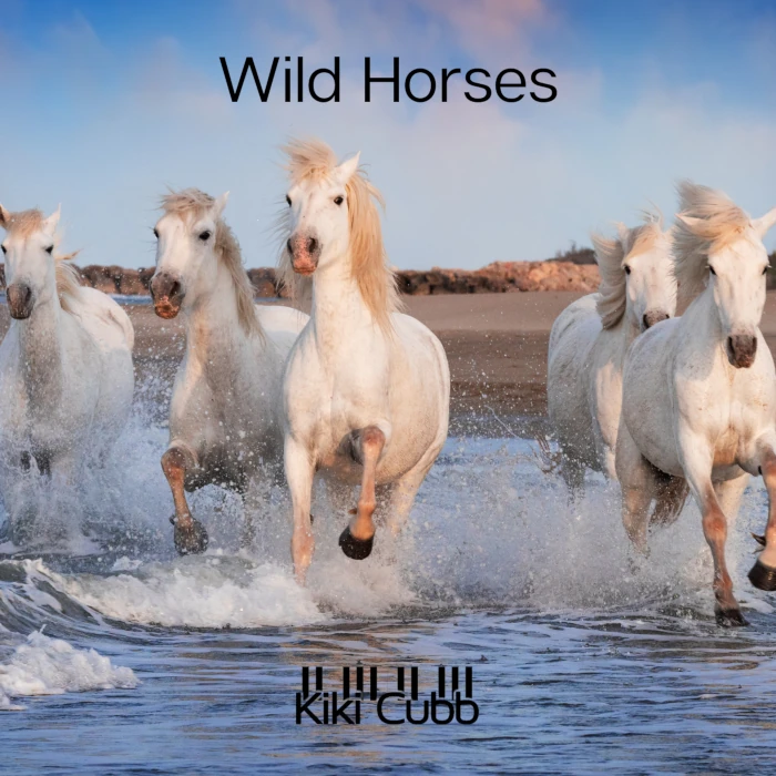 An album cover of white horses galloping through shallow water at the beach with the words "Wild Horses" at the top, and at the bottom, a logo with the words "Kiki Cubb" and black and white piano keys